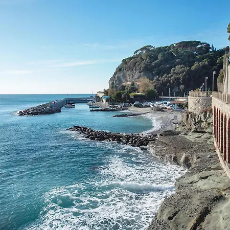 Zafferano - Lavanda Celle Ligure