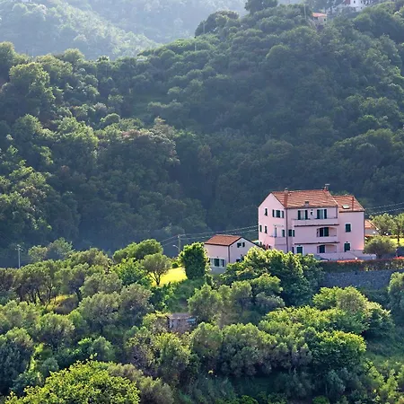 Zafferano - Lavanda Celle Ligure