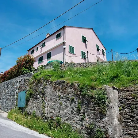 Apartment Zafferano - Lavanda